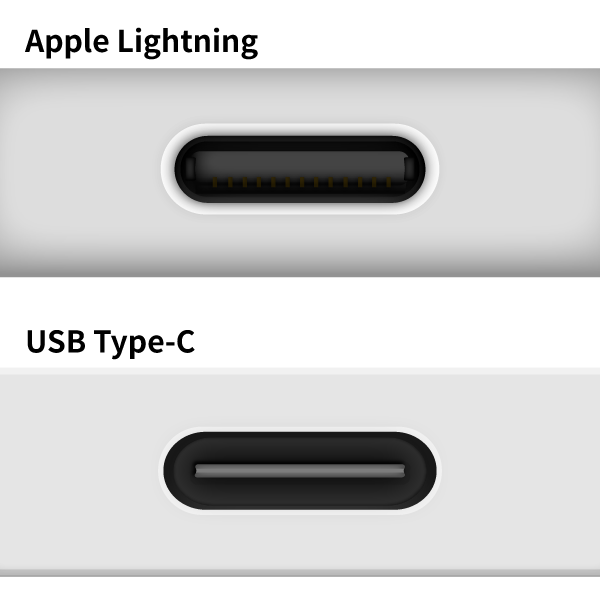 使用するiPadのポートを確認する